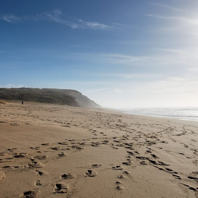 Silver Coast Residence